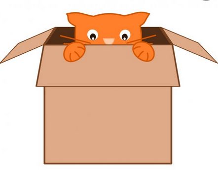 scared cat looks out of box